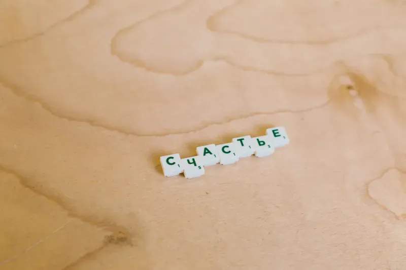 Mise à jour de contenu pour une marque de bien-être axée sur la détente